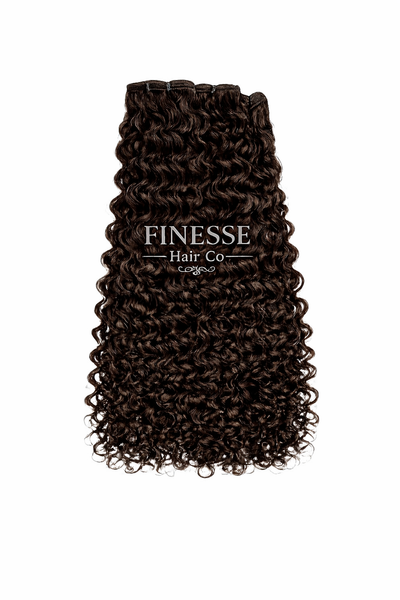12' / Burmese Curl